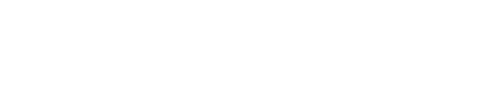 Mavik.ai Solutions
